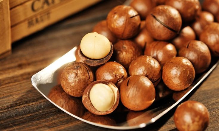 Lợi Ích Của Hạt Mắc Ca Đối Với Người Tiêu Dùng: Loại Hạt Vàng Cho Sức Khỏe